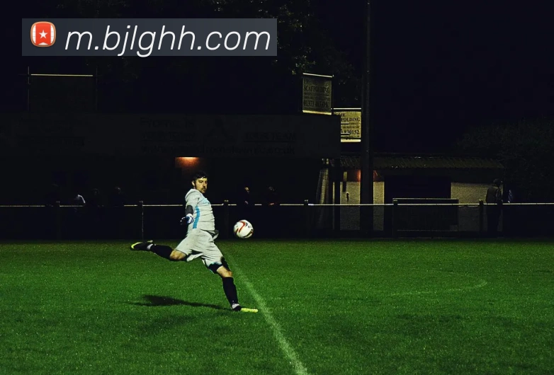 真人百家乐平台生态图